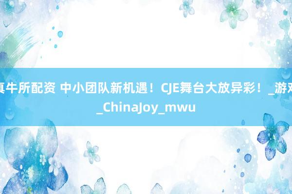 真牛所配资 中小团队新机遇！CJE舞台大放异彩！_游戏_ChinaJoy_mwu