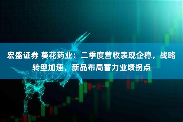 宏盛证券 葵花药业：二季度营收表现企稳，战略转型加速，新品布局蓄力业绩拐点